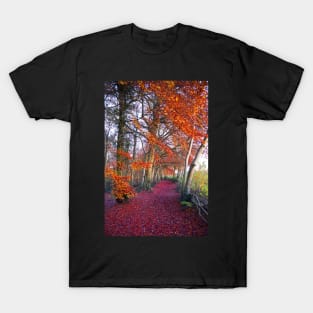 Autumnal Westridge Woods, Cotswolds T-Shirt